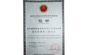 ?；钒踩珮藴驶C書